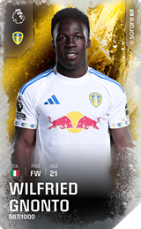 Wilfried Gnonto - limited
