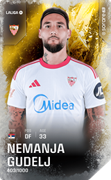 Nemanja Gudelj - limited