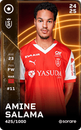 Amine Salama - limited