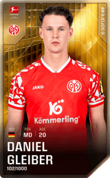 Daniel Gleiber - limited