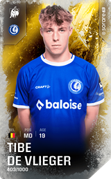 Tibe De Vlieger - limited