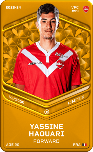 Yassine Haouari - limited