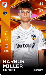 Harbor Miller - limited