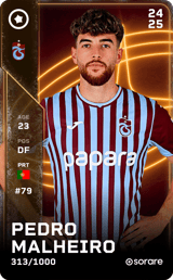 Pedro Malheiro - limited