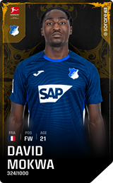 David Mokwa - limited