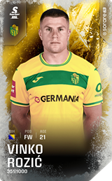 Vinko Rozić - limited