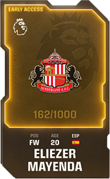 Eliezer Mayenda - limited
