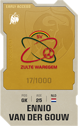 Ennio van der Gouw - limited