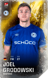 Joel Grodowski - limited