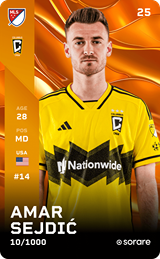 Amar Sejdić - limited