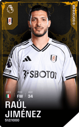 Raúl Jiménez - limited