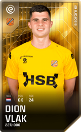 Dion Vlak - limited
