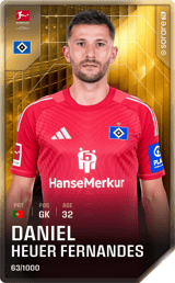 Daniel Heuer Fernandes - limited