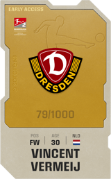 Vincent Vermeij - limited
