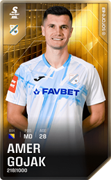 Amer Gojak - limited