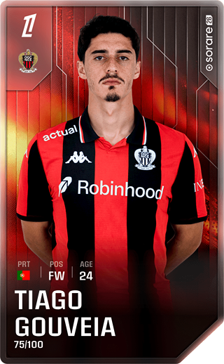 Tiago Gouveia - rare