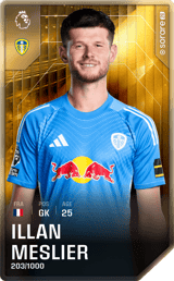 Illan Meslier - limited
