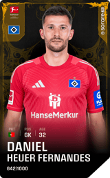 Daniel Heuer Fernandes - limited