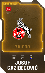 Jusuf Gazibegović - limited