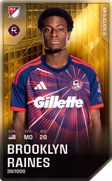 Brooklyn Raines - limited