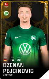 Dženan Pejčinović - limited