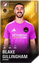 Blake Gillingham - limited