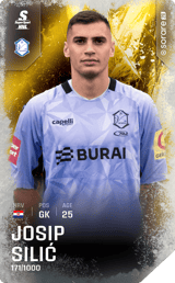 Josip Silić - limited