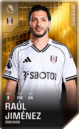 Raúl Jiménez - limited