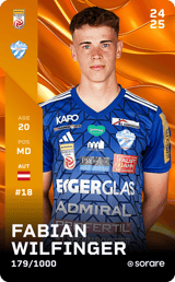 Fabian Wilfinger - limited