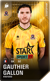 Gauthier Gallon - limited