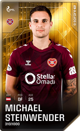 Michael Steinwender - limited