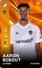 Aaron Bibout - limited