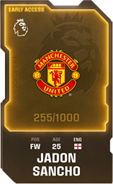 Jadon Sancho - limited