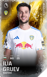 Ilia Gruev - limited