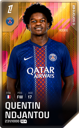 Quentin Ndjantou - limited