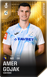 Amer Gojak - limited