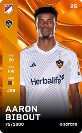 Aaron Bibout - limited