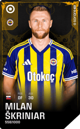 Milan Škriniar - limited