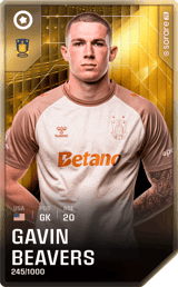 Gavin Beavers - limited