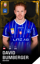 David Bumberger - limited