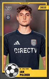 Ian Pilcher - limited