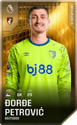 Đorđe Petrović - limited