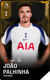 João Palhinha - limited