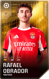 Rafael Obrador - limited