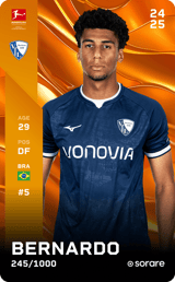 Bernardo - limited