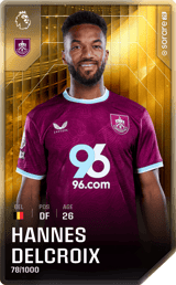 Hannes Delcroix - limited