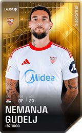 Nemanja Gudelj - limited