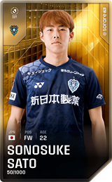 Sonosuke Sato - limited