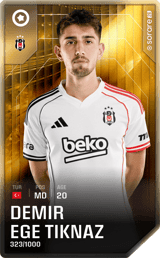 Ege Tıknaz - limited