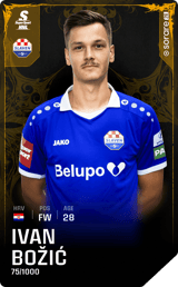 Ivan Božić - limited